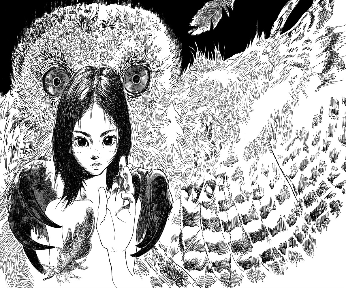 Sora Tobi Tamashii (Araña Fansub)